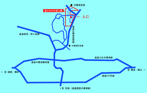 ���W�Ò��l�`�o