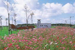 �R�X���X��